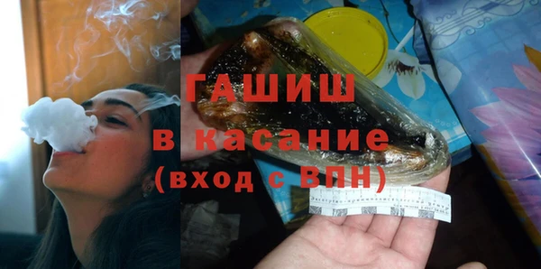 ПСИЛОЦИБИНОВЫЕ ГРИБЫ Тайга