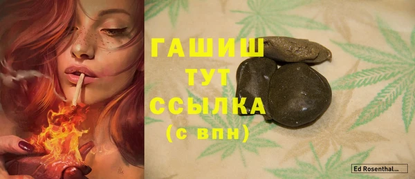 ПСИЛОЦИБИНОВЫЕ ГРИБЫ Тайга