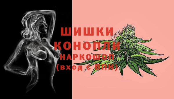 сатива Тавда