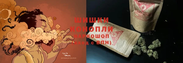 ПСИЛОЦИБИНОВЫЕ ГРИБЫ Тайга