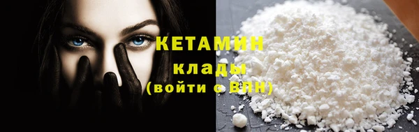 ПСИЛОЦИБИНОВЫЕ ГРИБЫ Тайга