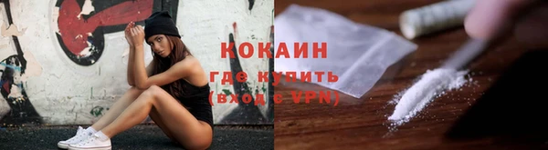 сатива Тавда