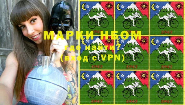 ПСИЛОЦИБИНОВЫЕ ГРИБЫ Тайга