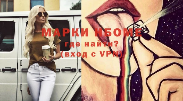 ПСИЛОЦИБИНОВЫЕ ГРИБЫ Тайга