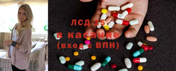 ПСИЛОЦИБИНОВЫЕ ГРИБЫ Тайга