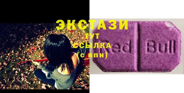 ПСИЛОЦИБИНОВЫЕ ГРИБЫ Тайга