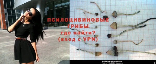 MDMA Сясьстрой