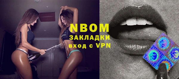 ПСИЛОЦИБИНОВЫЕ ГРИБЫ Тайга