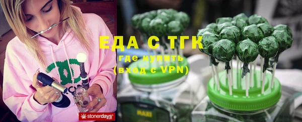 ПСИЛОЦИБИНОВЫЕ ГРИБЫ Тайга