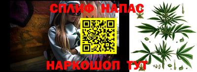 МДПВ Будённовск